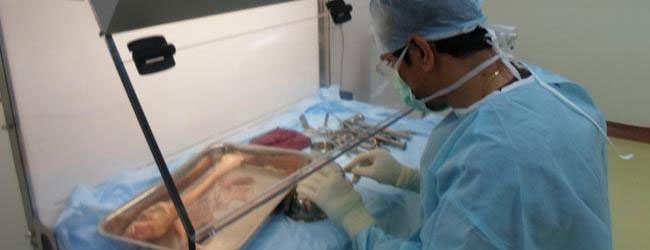 Tissue Banking Course